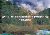 国产一区二区不卡亚洲涩情,哪四部作品因情感描绘和视觉冲击而备受瞩目