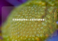 吃狗粮要脱单吗（还是努力更重要）
