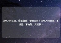 成年人的生活，全是遗憾，都是无奈（成年人的崩溃，不诉苦，不抱怨，只沉默）