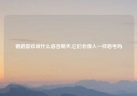 鹦鹉喜欢听什么语言聊天,它们会像人一样思考吗