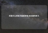 双鱼什么时候才能脱单呢,你还要等多久