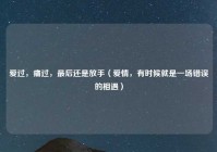 爱过，痛过，最后还是放手（爱情，有时候就是一场错误的相遇）