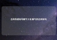 古风伤感短句霸气十足,霸气的古风短句