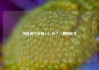 伤感段子短句：扎心了，我的朋友