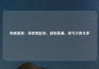 伤感语录：深夜想起你，泪如泉涌，你亏欠我太多