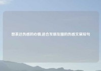 想表达伤感的心情,适合发朋友圈的伤感文案短句
