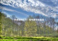 伤感短句七字：短句道尽心酸泪