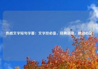 伤感文字短句字幕：文字控必备，经典语录，触动心灵