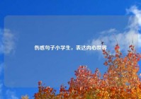 伤感句子小学生，表达内心世界