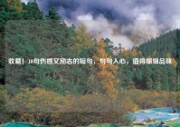 收藏！10句伤感又励志的短句，句句入心，值得细细品味