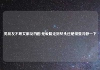 男朋友不理女朋友的图,是爱情走到尽头还是需要冷静一下