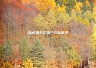 猛兽聊天群,哪个群最活跃