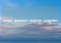 温柔短句，送给最爱的你（用温柔文案，记录美好瞬间）