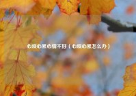 心烦心累心情不好（心烦心累怎么办）
