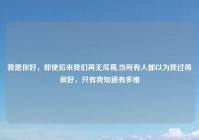 我愿你好，即使后来我们再无瓜葛,当所有人都以为我过得很好，只有我知道有多难