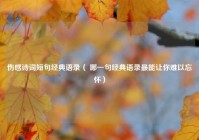 伤感诗词短句经典语录（ 哪一句经典语录最能让你难以忘怀）