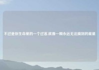 不过是你生命里的一个过客,就像一颗永远无法摘到的星星