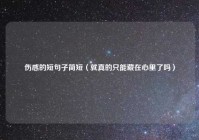 伤感的短句子简短（就真的只能藏在心里了吗）