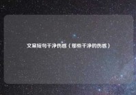 文案短句干净伤感（那些干净的伤感）
