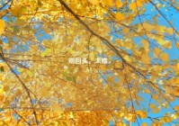 别回头，太难。