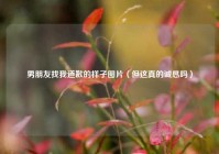 男朋友找我道歉的样子图片（但这真的诚恳吗）