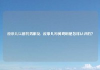 应采儿以前的男朋友,  应采儿和黄晓明是怎样认识的？