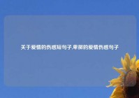 关于爱情的伤感短句子,卑微的爱情伤感句子