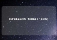 伤感又唯美的短句（伤感唯美十二字短句）