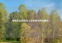 那些扎心的短句（这些短句句句戳心）