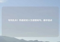 句句扎心！伤感说说人生感悟短句，戳中泪点