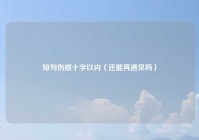 短句伤感十字以内（还能再遇见吗）