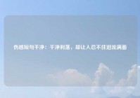伤感短句干净：干净利落，却让人忍不住泪流满面