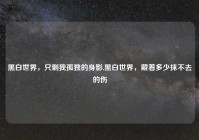黑白世界，只剩我孤独的身影,黑白世界，藏着多少抹不去的伤