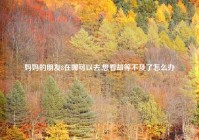妈妈的朋友8在哪可以去,想看却等不及了怎么办