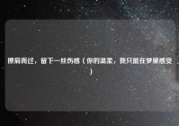 擦肩而过，留下一丝伤感（你的温柔，我只能在梦里感受）