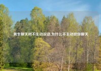 男生聊天时不主动说话,为什么不主动找你聊天