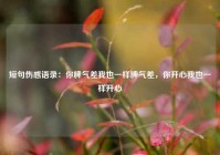 短句伤感语录：你脾气差我也一样脾气差，你开心我也一样开心