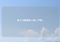 私人飞机搭讪（你get了吗）