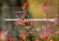 恋爱期间要做什么,  怎样才能避免感情走向分崩离析