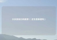 小伙创业扫码脱单（ 这生意靠谱吗）