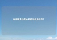 在美国主动搭讪,风险和机遇并存？