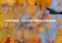 短句文案温柔，怎么才能用简单语言表达真挚情感？