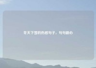 冬天下雪的伤感句子，句句戳心