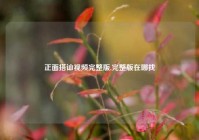 正面搭讪视频完整版,完整版在哪找