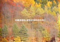白糖男朋友,现实中真的存在吗？