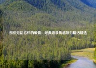 那些无法忘怀的爱情：经典语录伤感短句情话精选