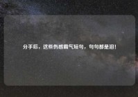 分手后，这些伤感霸气短句，句句都是泪！