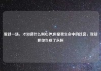 爱过一场，才知道什么叫心碎,你是我生命中的过客，我却把你当成了永恒