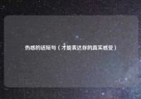 伤感的话短句（才能表达你的真实感受）