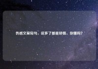 伤感文案短句，说多了都是矫情，你懂吗？